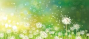 schwanger-werden-kinderwunsch-fruchtbarkeit